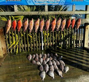 Big Bites and Bumpy Seas: The Fish are Fired Up!