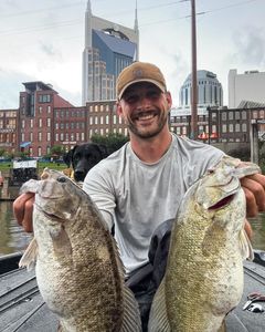 A Few CMA Smallmouth Studs