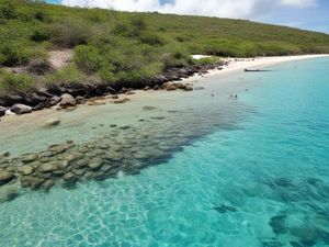 Things To Do in Culebra Puerto Rico