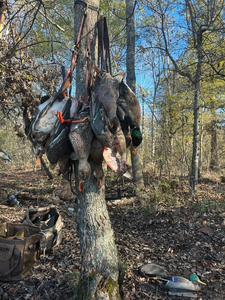 Get Your Valid Arkansas Hunting License