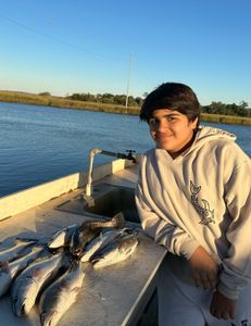 Redfish bite is on fire 🔥