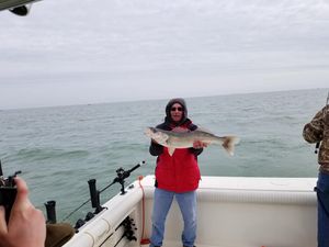 Walleye Fishing in Lake Erie!