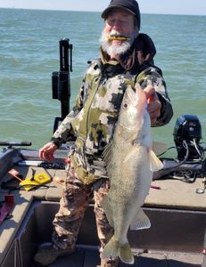 This client liked the bait too !  Nice Walleye!!!