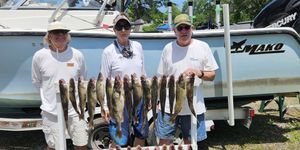 Lake Erie Walleye Fishing Trips – Weekend Success
