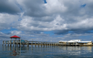 Things To Do In Harkers Island 