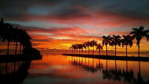 Things To Do in Florida