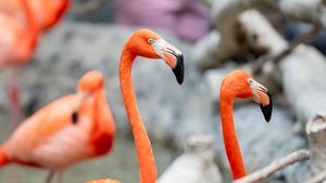 10 Best Things To Do In Corpus Christi