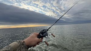 How to Get Your Texas Fishing License for Coastal Trips