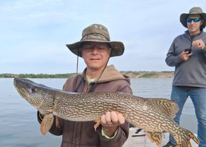 Lost a Giant, Boated a Muskie, and Released a Trophy Pike Today—Message Me for Weekend Spots.