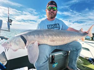 Final Run with Dakota Before Duck Season – Tagged Out with a Solid 5-Pack