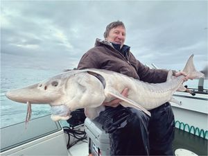 Bucket List Sturgeon Checked—Kip’s Multi-Fish Mission Complete