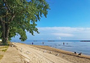 Discover Lake Erie: Top Local Experiences