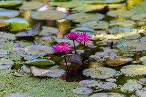 Vero Beach Vacation Guide: Landmarks & Family-Friendly Stops