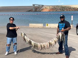 Tallahassee Fishing Charters for Bass, Catfish and Lake Adventure