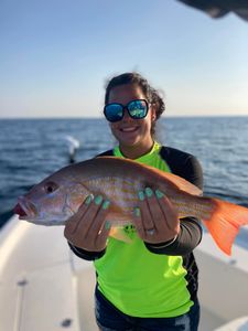 Snapper Delights In Florida Waters