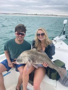 Catch of the day in PCB: Black Drum bounty!