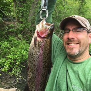 Great Day on the River