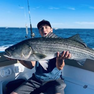 Cape Cod Bass