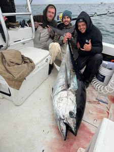 Early-morning bluefin tuna bite on fire