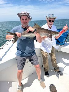Cobia Action Delivered