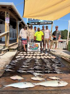 Offshore Limits and a Bonus Cobia