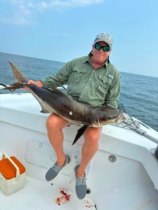 An amazing group put a few Cobia in the boat, with two spots still open for Wednesday’s full-day Walk-On Cobia trip.
