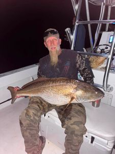 oin the Chesapeake Bay drum bite for $225 per person, with mate’s tip included. Limited spots available.