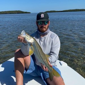 Snook Fishing 2022 in Crystal River, FL