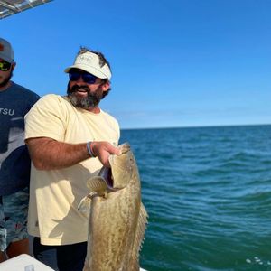 Grouper fishing in Crystal River, FL