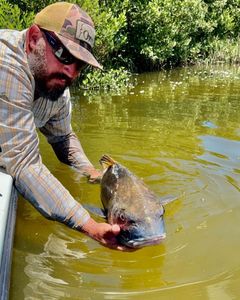 Fishing Charters Crystal River, FL
