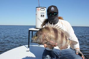 Backcountry fishing Sheepshead at its best