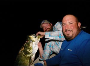 Crystal River Night Fishing