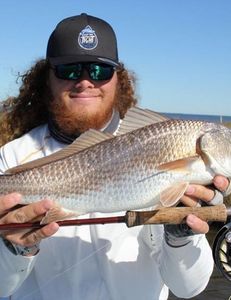 Red drum fishing in Crystal River Florida