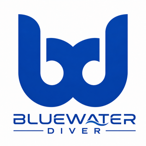 Key Largo June Diving: Perfect Conditions and Solid Bottom Time