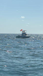 Key Largo Morning Dive: Green Sea Turtle Made Our August Trip