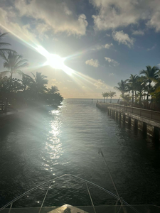 January Key Largo Diving: Reefs, Wrecks & Perfect Conditions