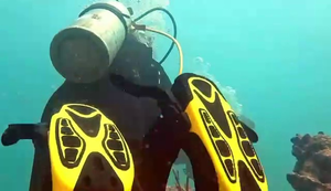 George's crew nails buoyancy control on Key Largo reef dives