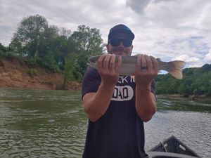 Cumberland River Trout Fishing Guides