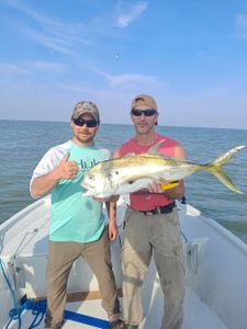 Crevalle Jack Fishing Port O Connor Texas