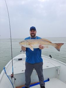 Fish in the Gulf of Mexico Texas