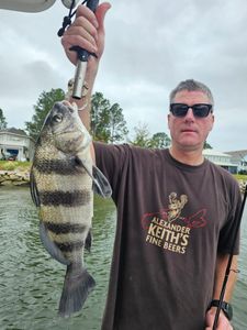 Inshore Bite on Point