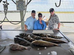 Consistent Matagorda Bay action with fishing and night gigging trips available and a giveaway underway