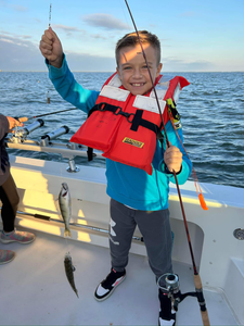 Fishing Report In Lake Erie 