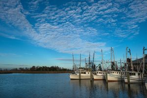 THINGS TO DO IN APALACHICOLA FL