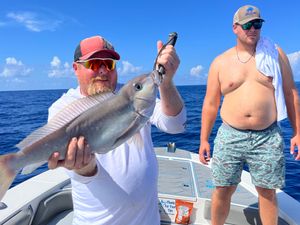 Sea Fishing Adventure in Florida