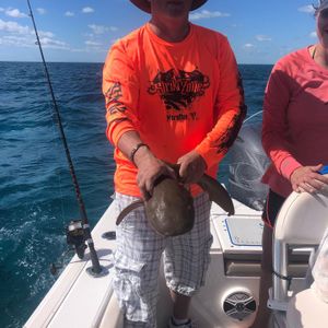 Top Rated Fishing Charters in Islamorada, FL