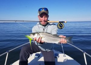 Fly Fishing For Striped Bass in Oxford, MD
