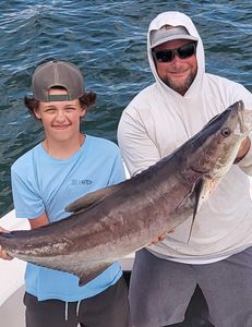 Cobia