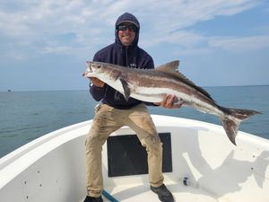 Hooked on Cobia Excitement!
