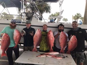 Hitting The Limit! Red Snapper Fishing, FL